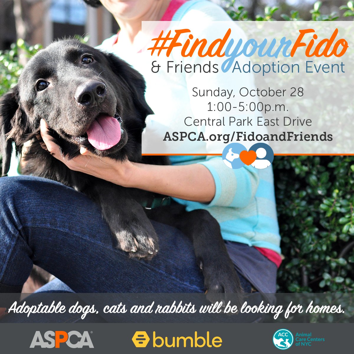 Lioness radish mommy been Animal Care Centers πΆπ±π° (@NYCACC) | Twitter