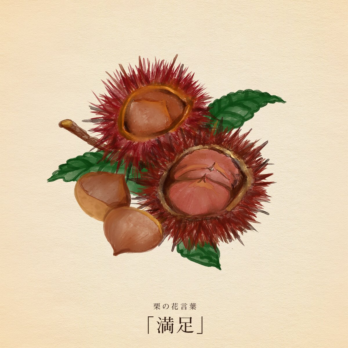 はな言葉 新刊出ました Twitter પર きょう10月24日は 国連デー 世界開発情報の日 ツーバイフォー住宅の日 文鳥の日 トリコロール記念日 マーガリンの日 天女の日 誕生花は栗 花言葉 満足