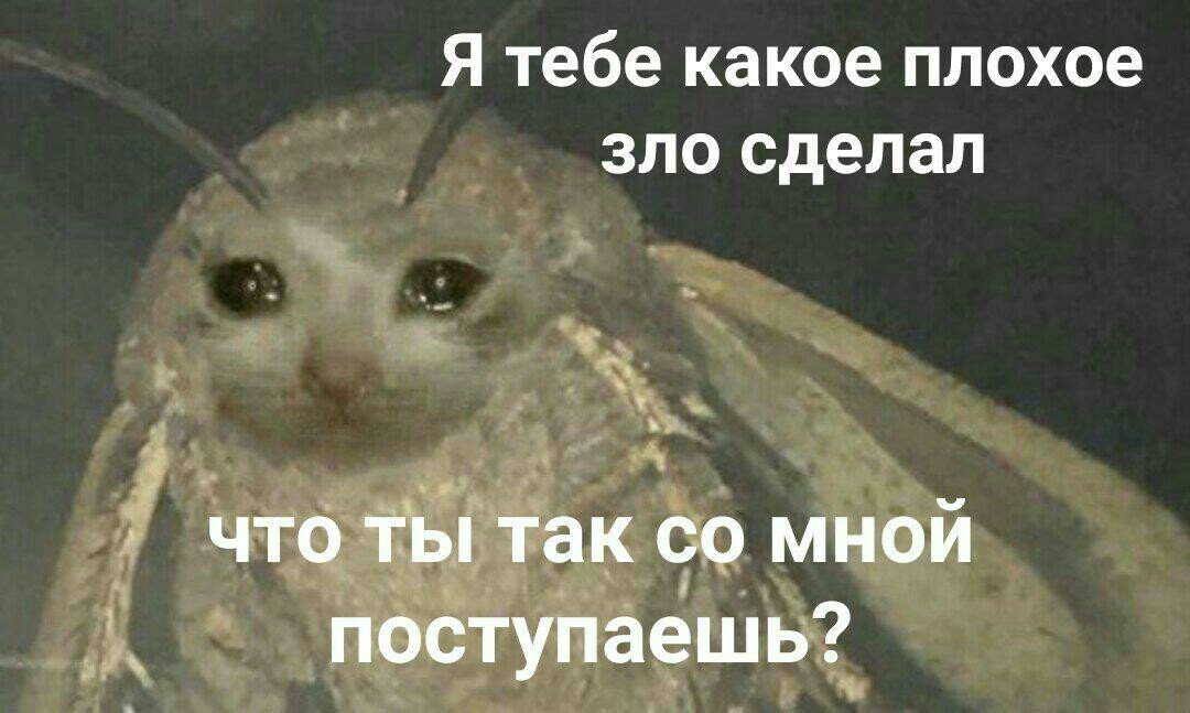 DqOkMchXgAAK1t2.jpg:large