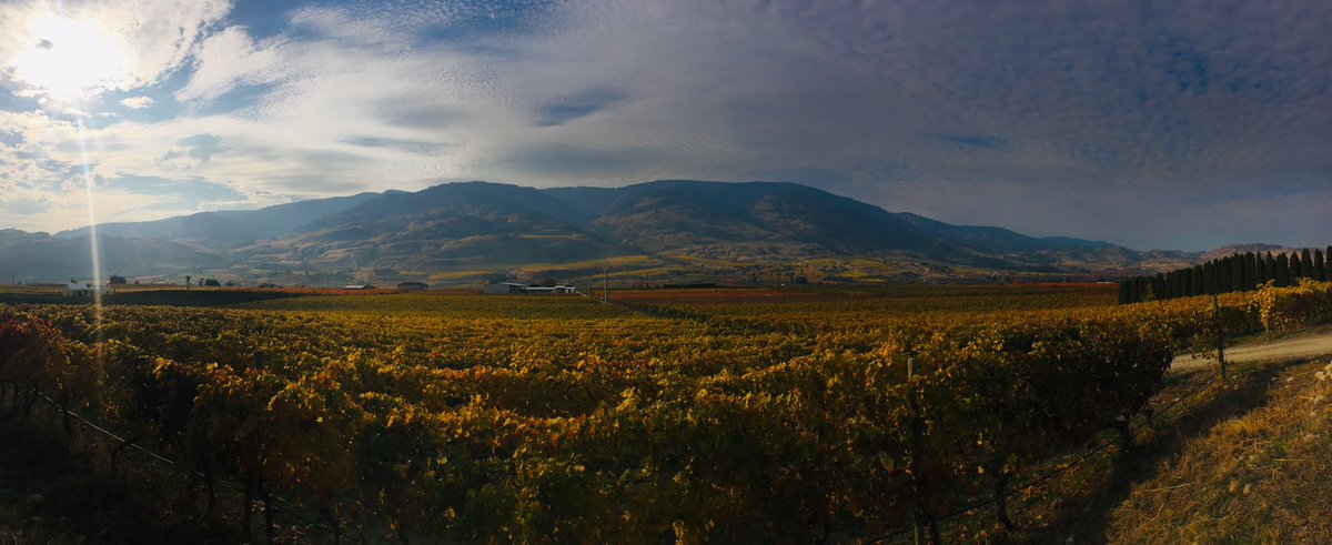 WinningByWining's tweet photo. South Okanagan, Golden Mile Bench BC Wine Country in its full fall beauty!                        #okanagan #BCWine #ExploreBCWine #BCVQA #BootCamp18 https://t.co/uLGZDa6jVq