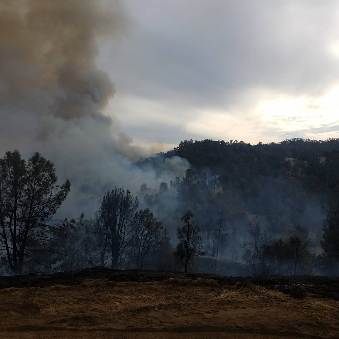 CALFIREBEU's tweet photo. #ThompsonValleyVMP (San Benito Co) #Copter406 #helitorch operations. #RxFire #RxBurn #PrescribedFire #PrescribedBurn https://t.co/Lg48GPHAPc