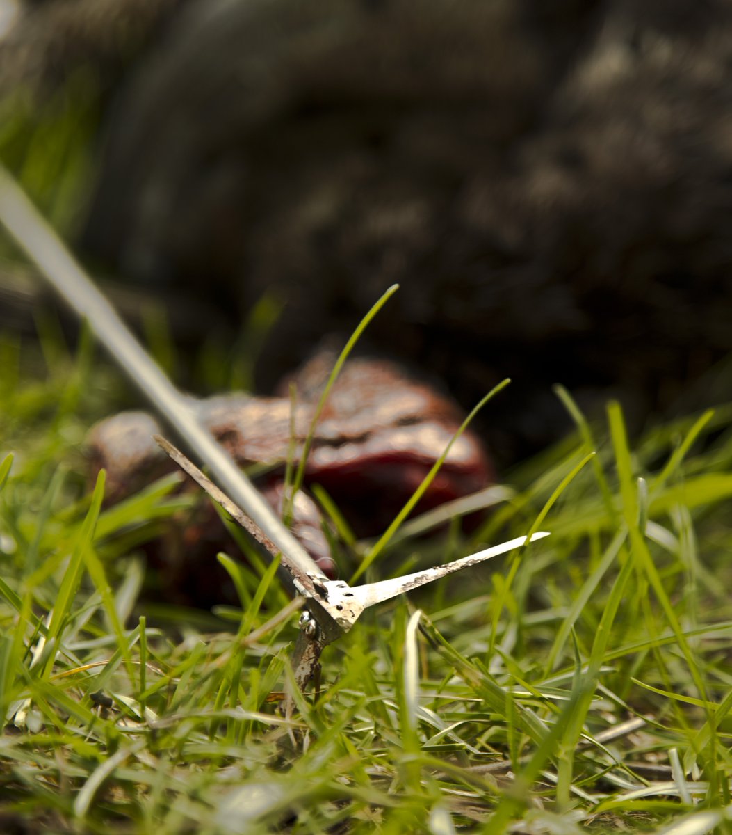 Solid Broadhead Co. (SolidBroadheads) Twitter