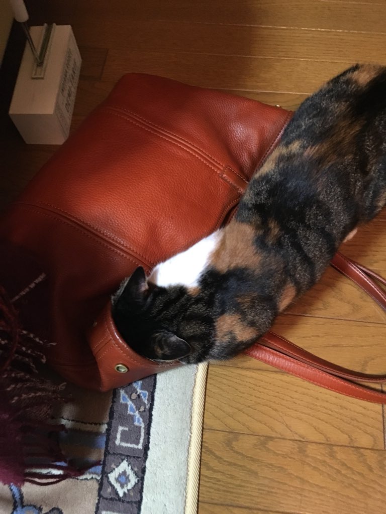 こっちの顔色見て……
入ってみる。やめて………；