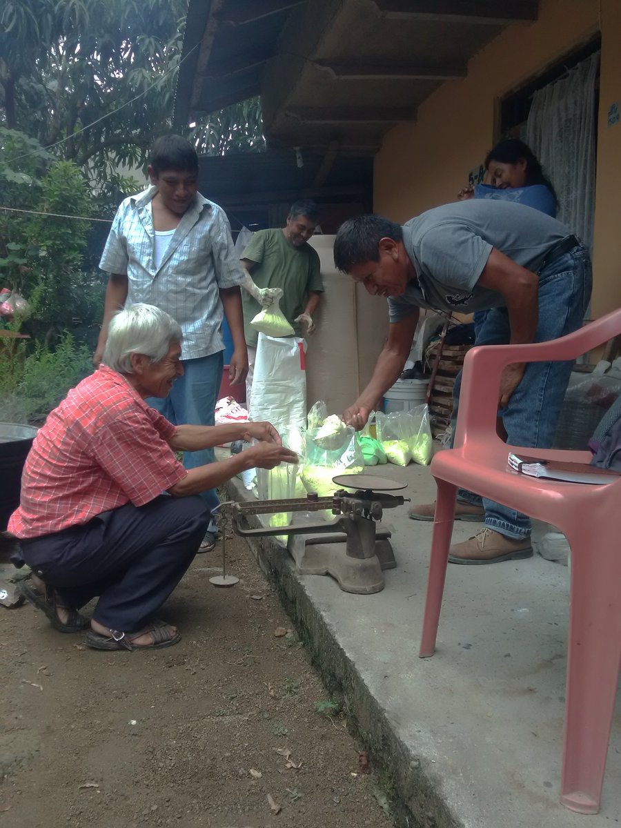 Tomisa12's tweet photo. Fomentando la compra consolidada de insumo y equipo con productores citrícolas de la localidad de Huitzitzilingo San Felipe Orizatlán, Hgo. Extensionista Tomasa Hdez #SubSria_DesarrolloRural #ExtensionismoHIDALGO @SEDAGRO_HIDALGO @EduardoVM19 @jvfalcon2 @ecarizpe https://t.co/F1RW5QeOXq