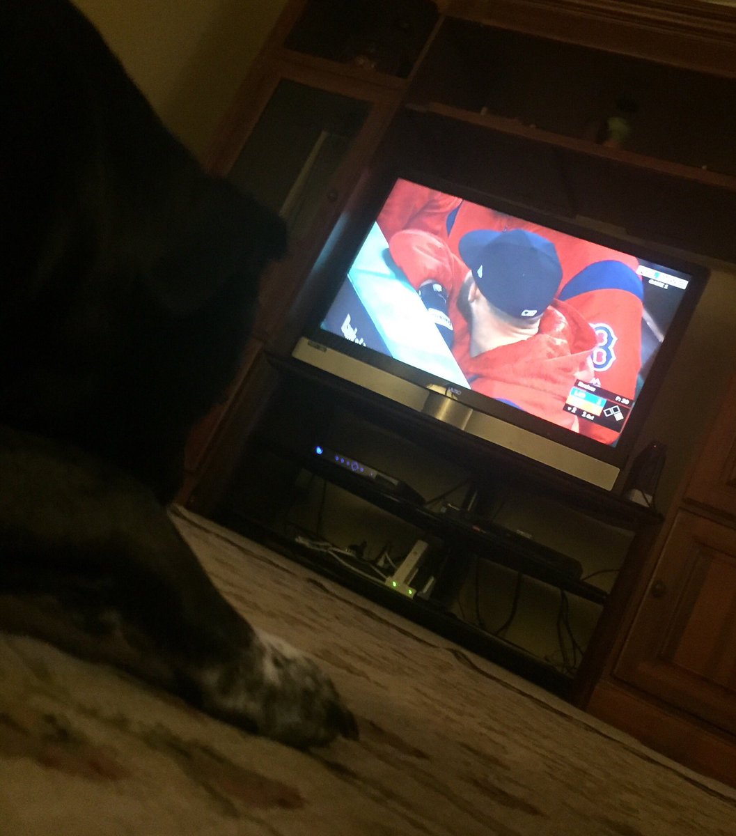 megnz's tweet photo. #WorldSeries2018 with the Pups! #BostonRedsox #GoBoston #GoSox @RedSox https://t.co/pKtl2jFv20