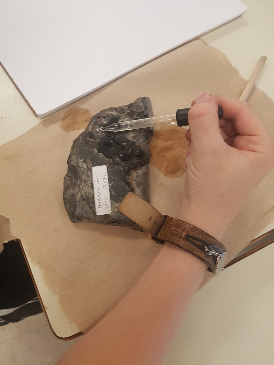 Soaringingrade3's tweet photo. Today students tested rocks for the presence of carbonates using vinegar. #jrgeologists #hawkwood3s https://t.co/o57iopgLge