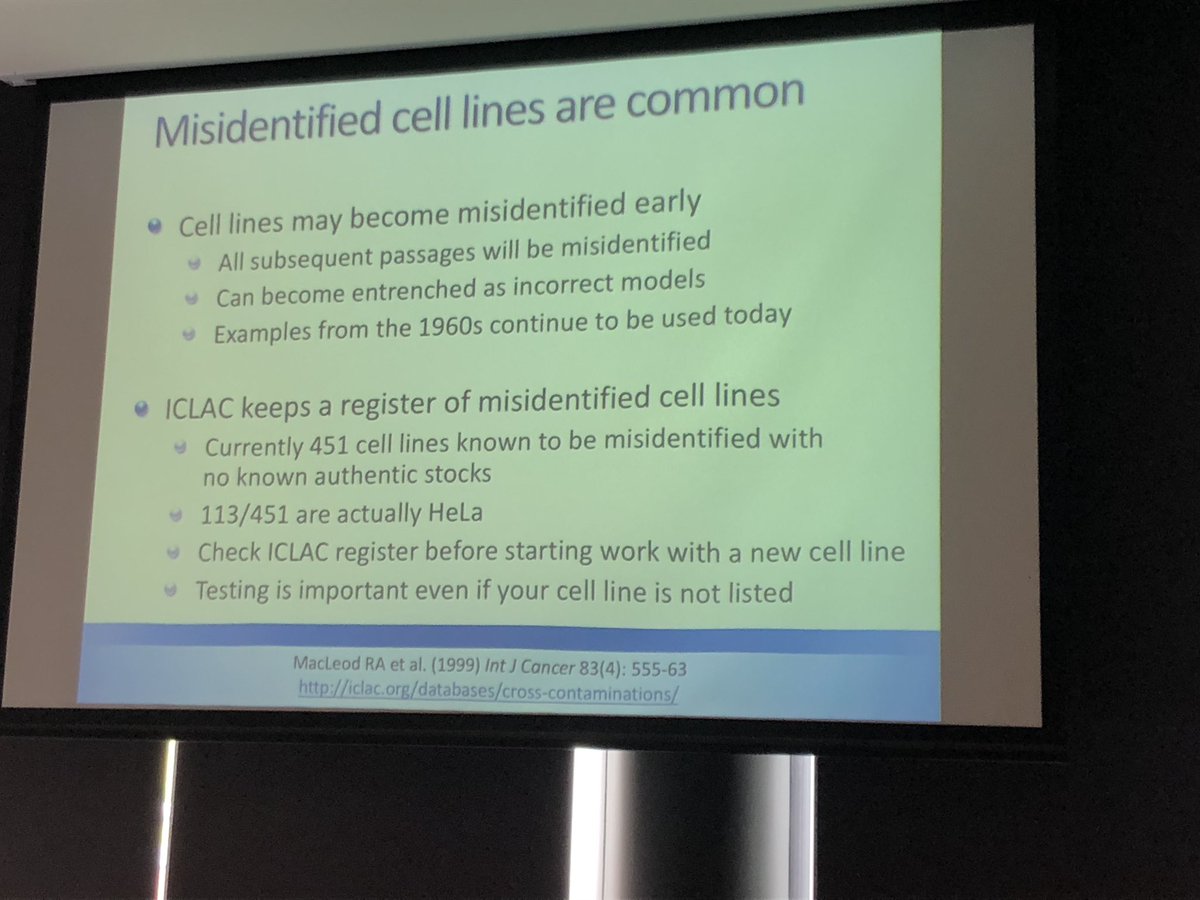 dcapslock's tweet photo. @Cell_Detective speaking on a risk to your research. #misindentification https://t.co/MlVKL9hxWq