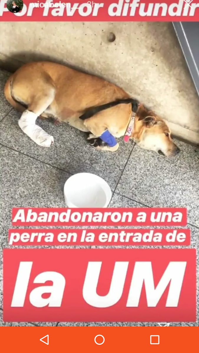 CaroGende's tweet photo. @LuuuuciiLA Hola tengo el nombre de la chica que subió la foto https://t.co/O5aEVUTIWW