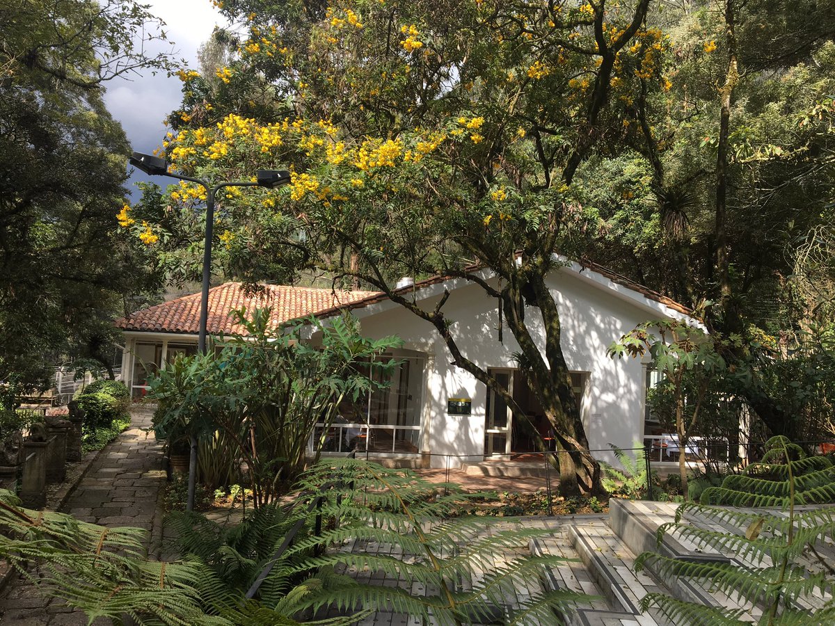 EthelSeguraD's tweet photo. Hoy dimos apertura en @uniandes a #VillaPaulina con un novedoso reforzamiento estructural. La restauración mural podrá apreciarse durante los siguientes meses y el restaurante estará a cargo de @escuelatallerbo con gastronomía colombiana #PATACOL Patrimonio Alimentario Colombiano https://t.co/z6mhkiC5Dq