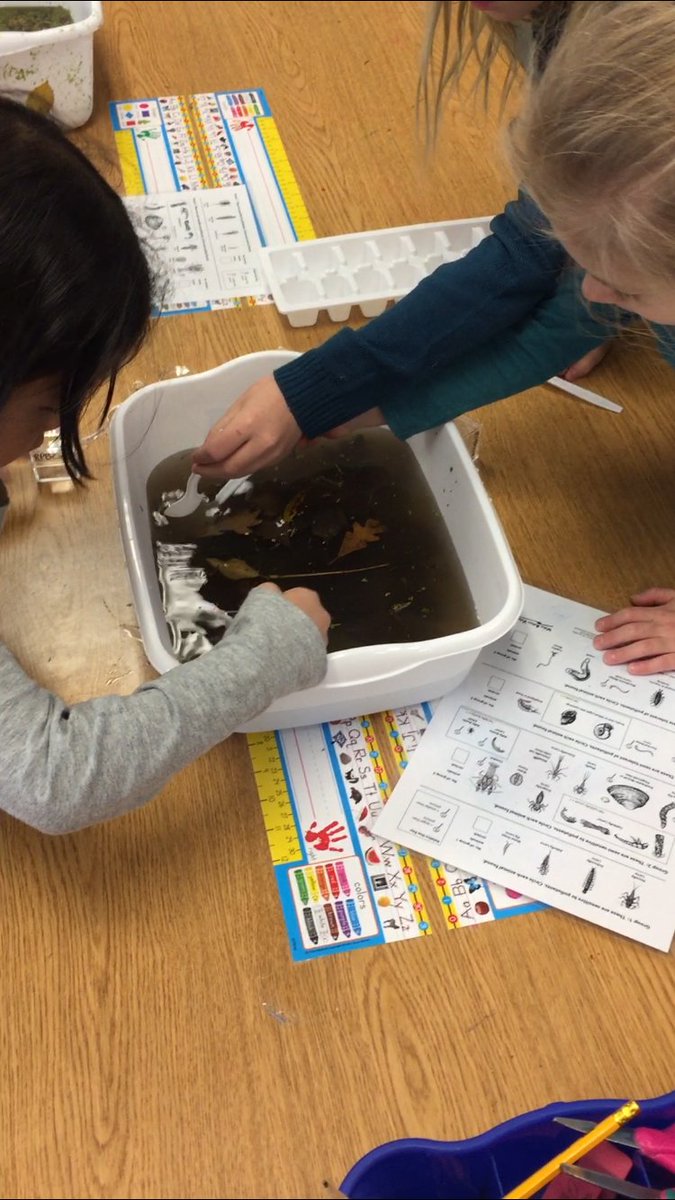 Hands on and experiential learning for our Kinders as they explore macroinvertebrates! Thanks <a href="/nick_windschitl/">Nick Windschitl</a> ! #nurtureyourroots #EPSchools #WeInspireEach