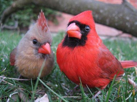AnimalTweeps's tweet photo. When Mom and Dad catch you coming home late... https://t.co/WUXOwpA3jM