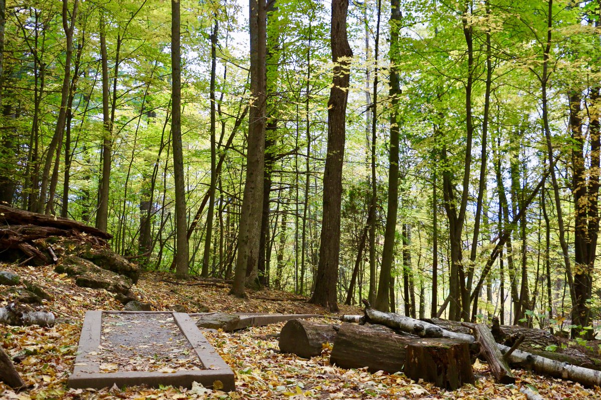 KSullivanVT's tweet photo. Yesterday’s 👀 @VTStateParks #MtPhilo #FallinVT https://t.co/plJUy5dWH4