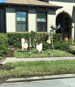 View image on Twitter