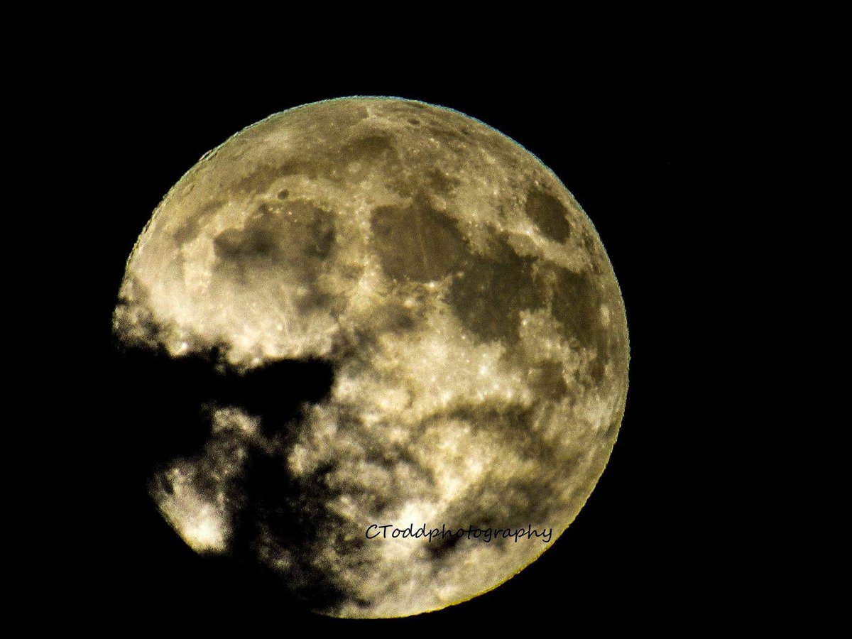 p1neapplemoon's tweet image. Tonight’s Hunter’s Moon 2018