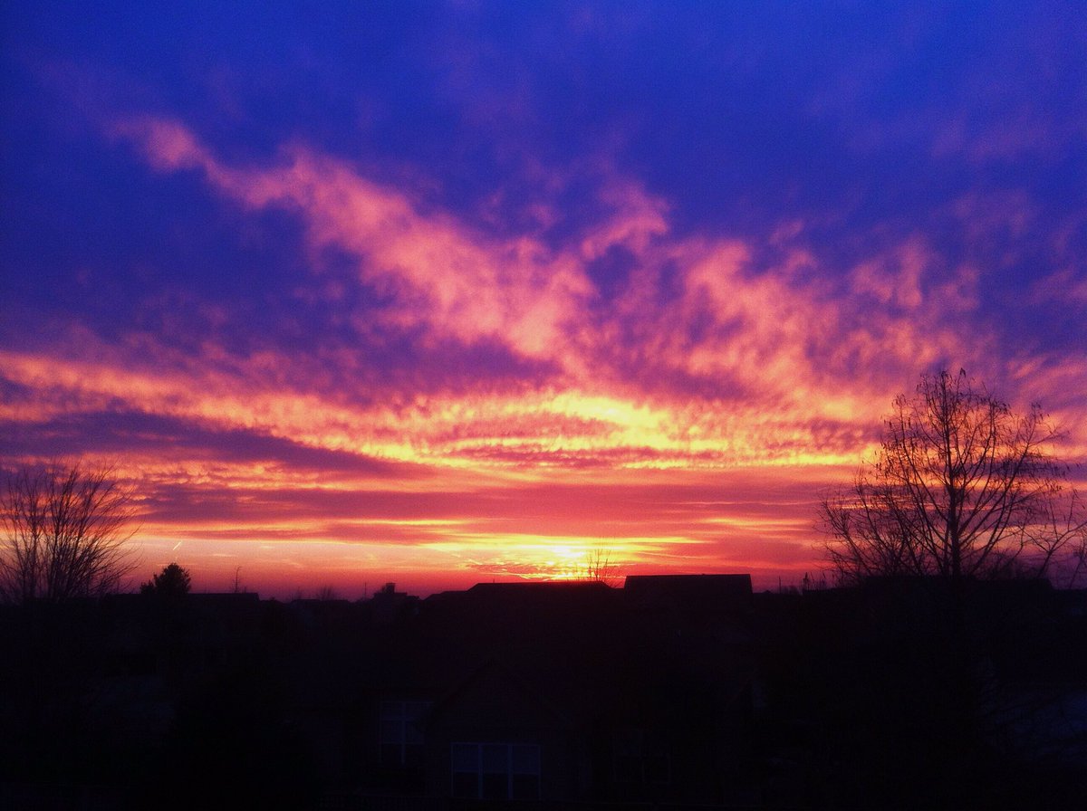 rienstr2's tweet image. Illinois 🌽