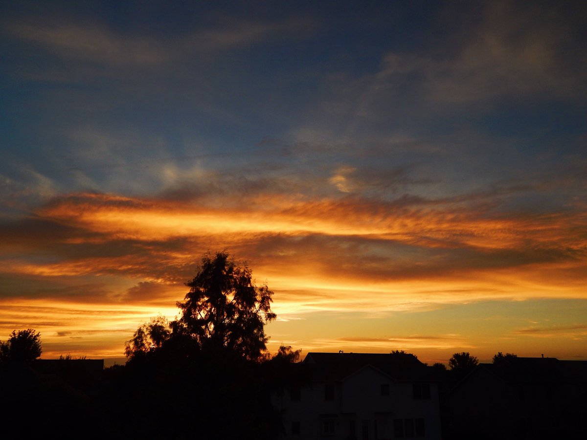 rienstr2's tweet image. Illinois 🌽