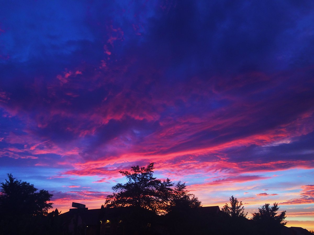 rienstr2's tweet image. Illinois 🌽