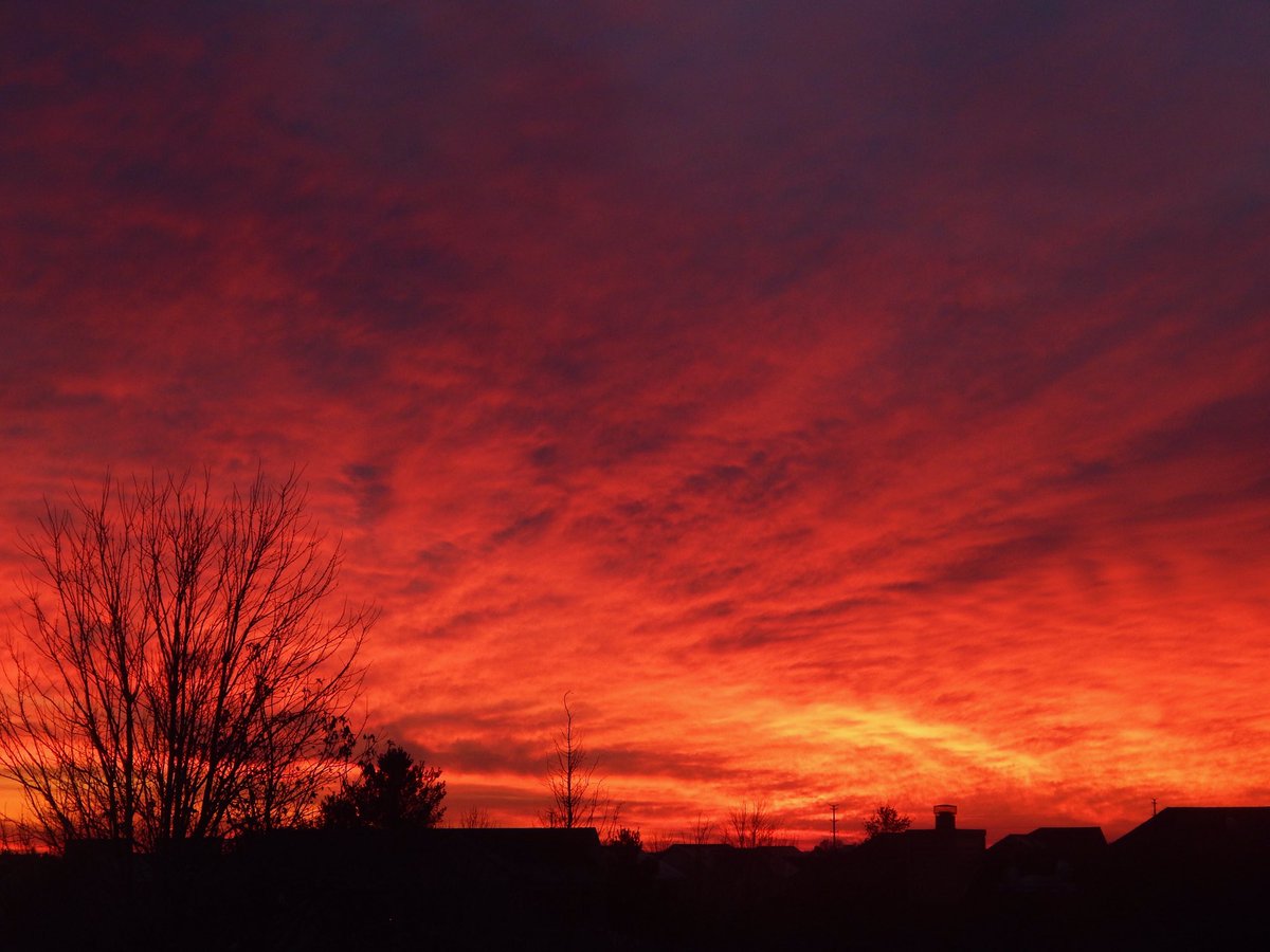 rienstr2's tweet image. Illinois 🌽