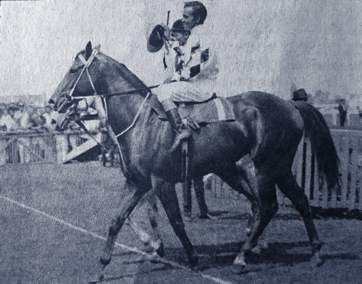 FormFocusHQ's tweet image. In 1970, DUAL CHOICE (Frank Reys), became the only 3yo filly to win the Freeway (Manikato) Stks. She won again in 1971 &amp;amp; also collected a Caul Gneas, Lightning, Oakleigh Plte (2), Craven A, Craiglee &amp;amp; William Reid Stks #formfocus