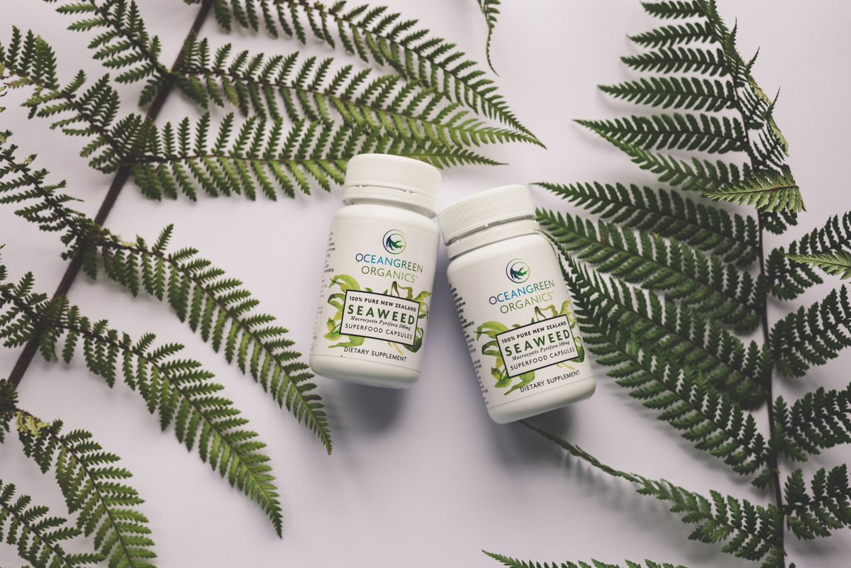 OceangreenO's tweet photo. Grab yourself a treat before Halloween 🕷️🕸️👻🤖🎃 
Order two bottles and get the third for free! 

https://t.co/RRv1vB8l29
Retweet &amp; Use PROMO Code: TWITTER 

Valid only while stocks last!

#seaweed #brownkelp #ocean #weightloss #green https://t.co/ebWaoERlUK