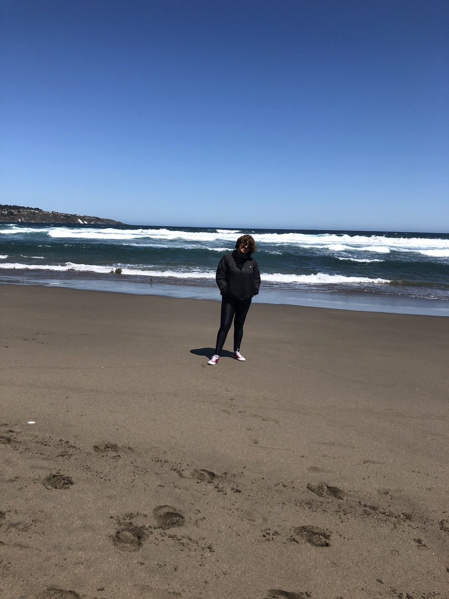 elis coloma tweet media