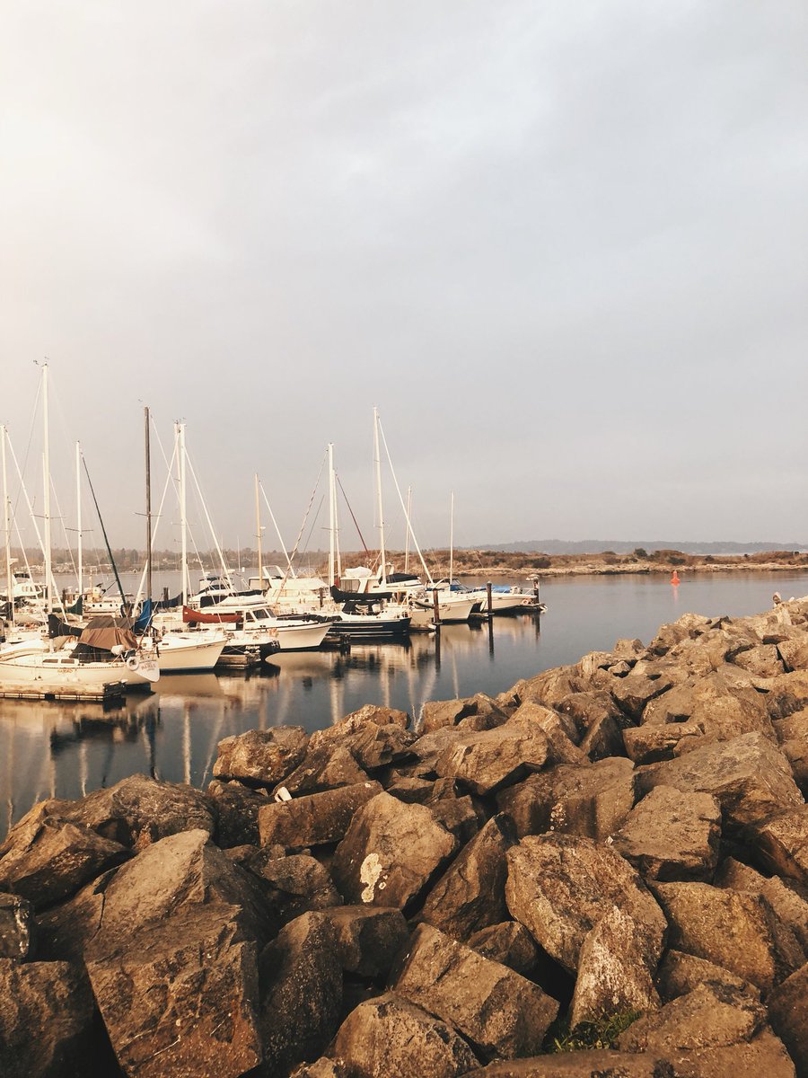 NALMY221's tweet image. Sad to be leaving tomorrow, but glad I got to cross off an item from the bucket list! #SurfTofino #ExploringBC