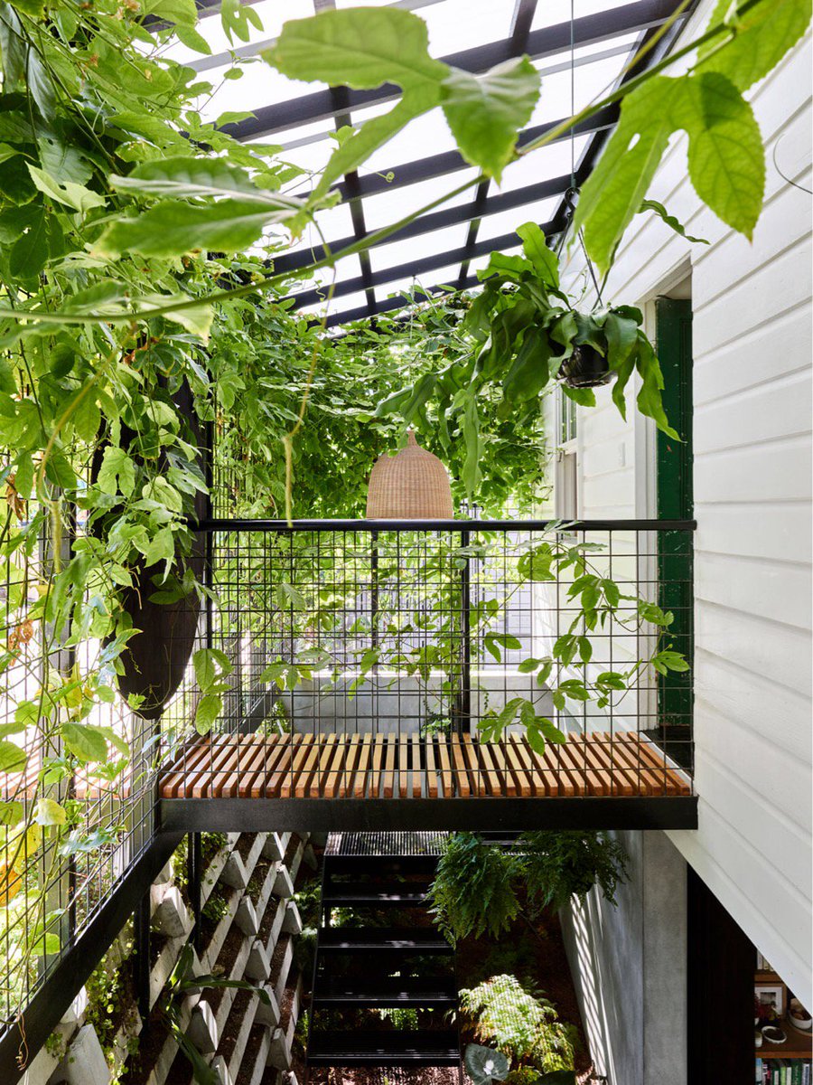 Specifierau's tweet photo. A plant lover’s dream: Brisbane cottage converted into a terrarium house 
https://t.co/J5vsWbBe3l https://t.co/sNugpu27wC