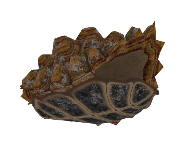703Darma's tweet photo. 今制作中のカメの３Dモデル。

テクスチャ制作途中だけど、だいぶそれらしくなった感じかな。 https://t.co/YqVYDcLTTA