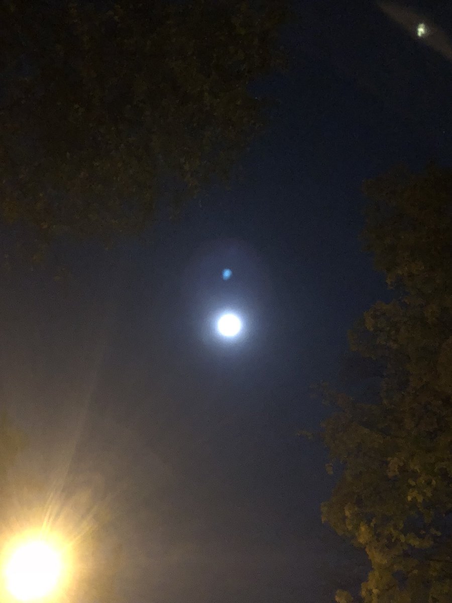 cbus_moon's tweet photo. Beautiful white full moon in the sky tonight, but as the fall leaves deteriorate, I feel my own strength diminish in turn. Hope everyone has a blessed night 🌚 https://t.co/lPlDIAiyh3