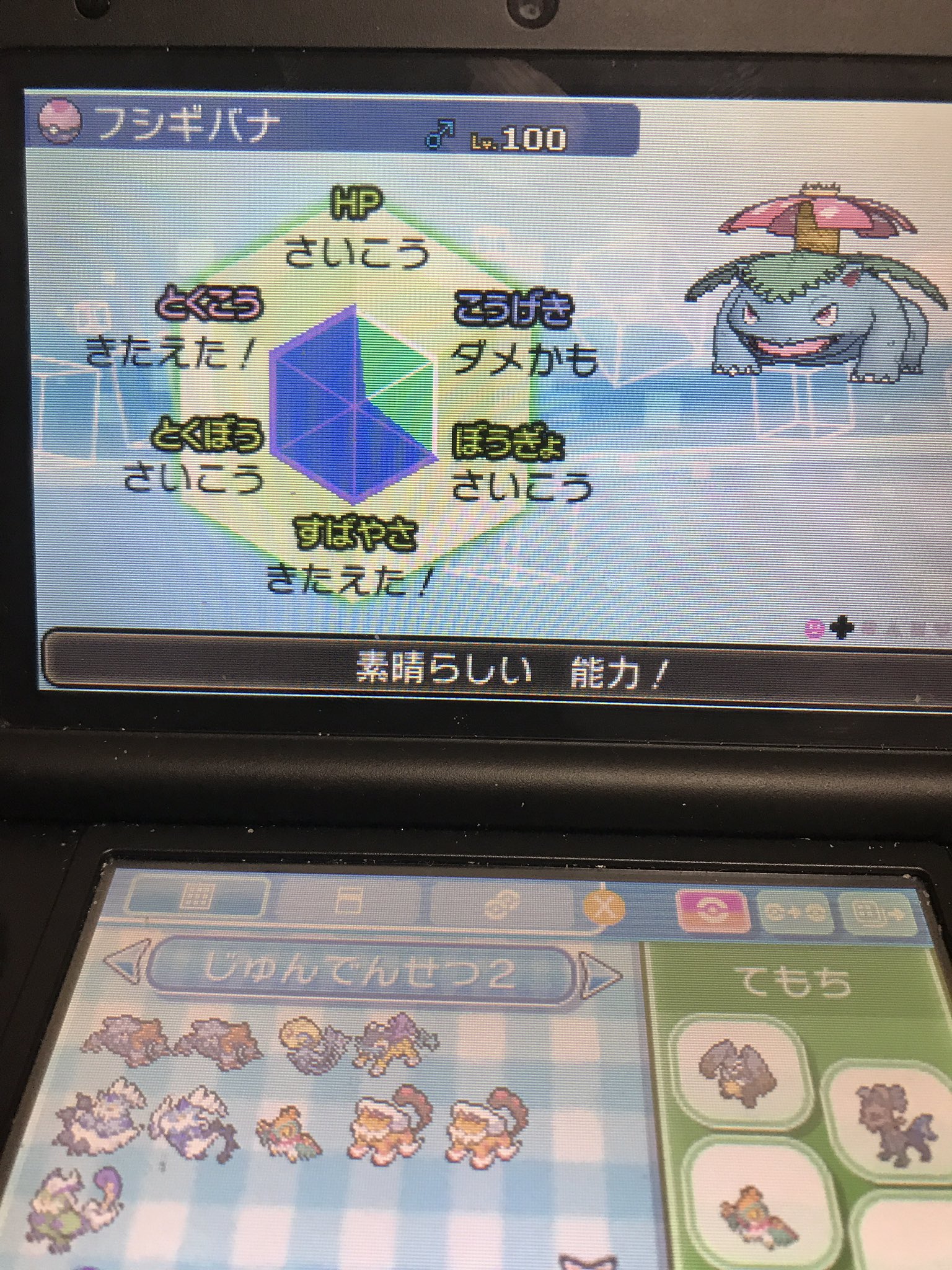 Poketrd Twitter