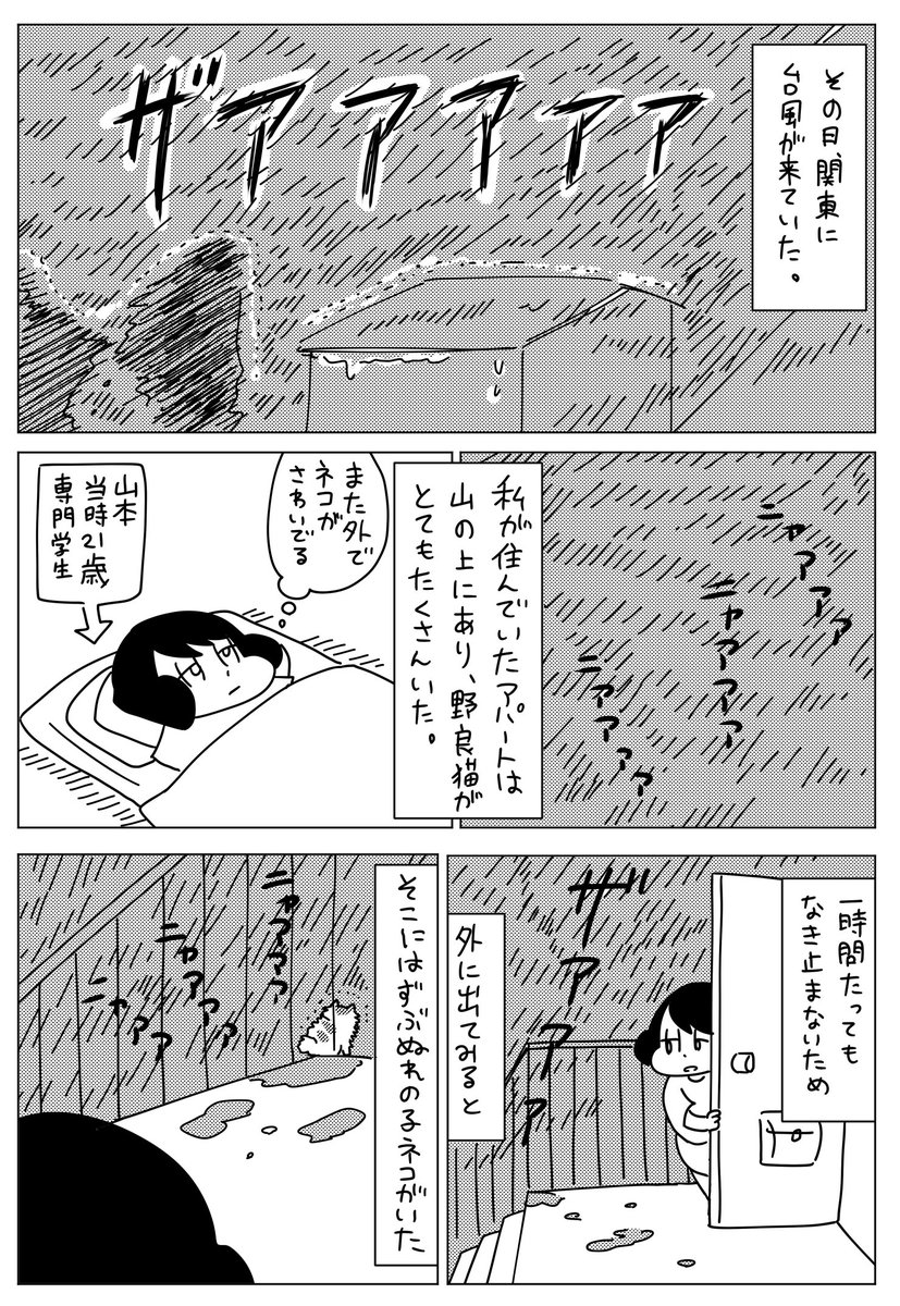 最近貼ってるねこまんがは、『山本さんちのねこの話』という単行本に収録されているものです。出会った頃の話なども描いています。岡崎に捧ぐ発売まで、もう少しずつ公開していこうと思います。まとめて読みたい方はこちら☞… 