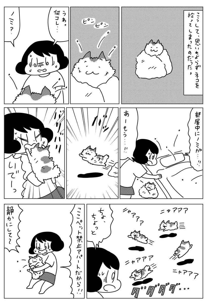 最近貼ってるねこまんがは、『山本さんちのねこの話』という単行本に収録されているものです。出会った頃の話なども描いています。岡崎に捧ぐ発売まで、もう少しずつ公開していこうと思います。まとめて読みたい方はこちら☞… 