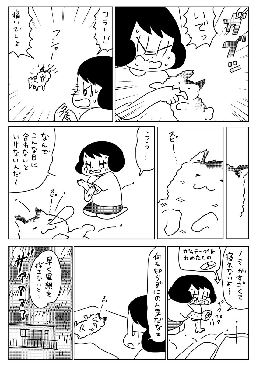 最近貼ってるねこまんがは、『山本さんちのねこの話』という単行本に収録されているものです。出会った頃の話なども描いています。岡崎に捧ぐ発売まで、もう少しずつ公開していこうと思います。まとめて読みたい方はこちら☞… 