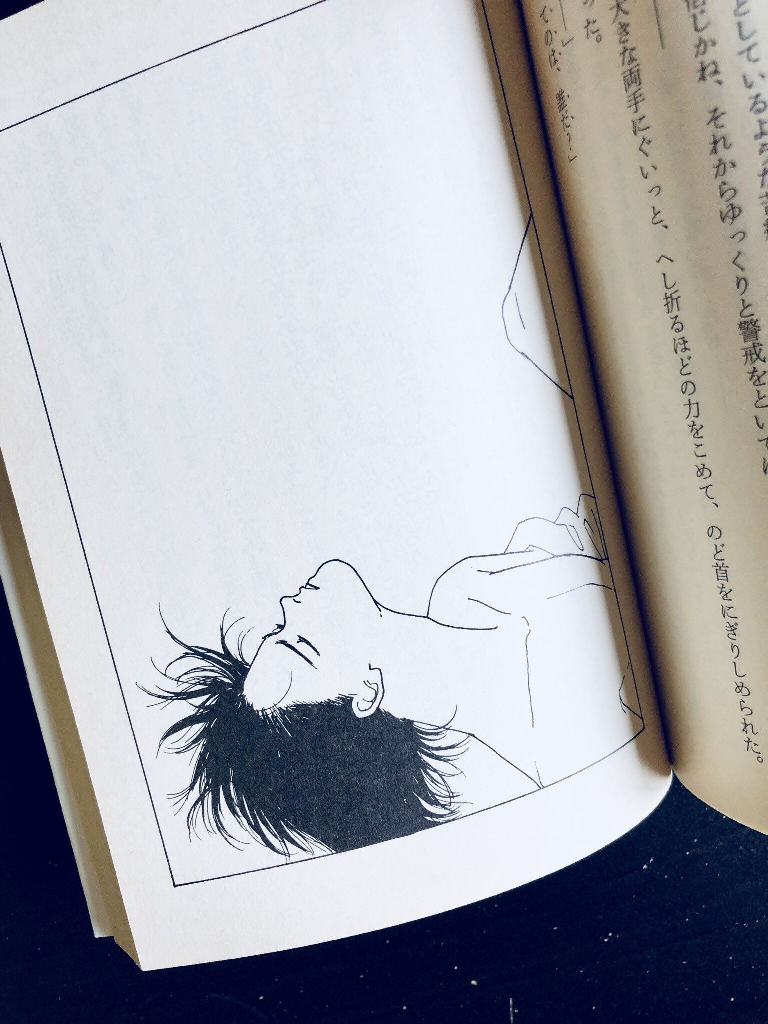 べる そういえば終わりのないラブソング買いました 早速読み始めたんだけど既にしんどい 主人公の二葉の境遇が少し形は違うけどアッシュと似てて 無理や本当にしんどい これからじっくり読みます そしてお話は勿論 吉田秋生先生の挿絵が素晴らし