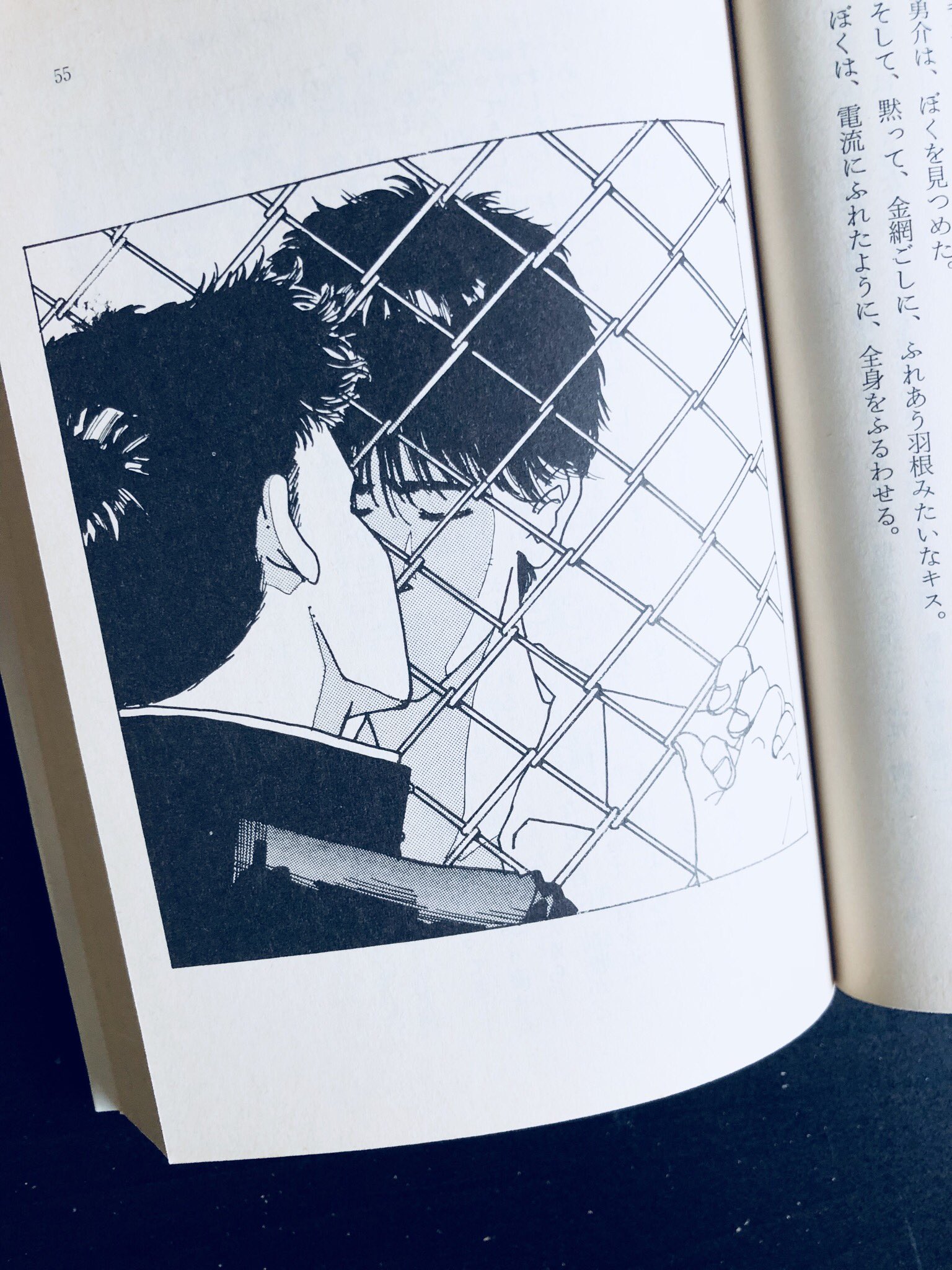 べる そういえば終わりのないラブソング買いました 早速読み始めたんだけど既にしんどい 主人公の二葉の境遇が少し形は違うけどアッシュと似てて 無理や本当にしんどい これからじっくり読みます そしてお話は勿論 吉田秋生先生の挿絵が素晴らし