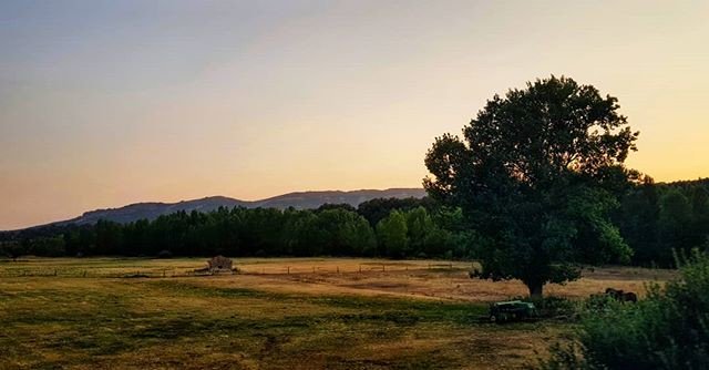 Reposting @mikeende:
Soledades, de Machado. 
#sunset #summer #nature #frame #tbt #wanderlust #primerolacomunidad #descubriendoigers #igers #igersspain #igersleon #igerscantabria #picoftheday #rural #relax #travel #green #saturday #buenastardes #goodafternoon