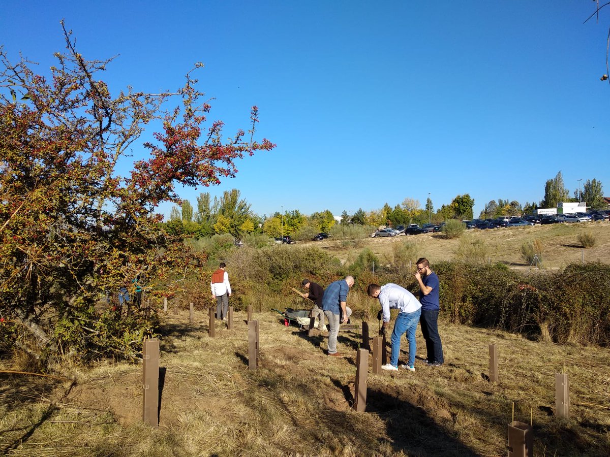 soziableES's tweet photo. 🌱➡️🌲 Hoy estamis con empleados de @LG_ES y @CarrefourES en una acción de reforestación en #LasRozas con el #RetoSmartGreen.
🌎 #Movilízate https://t.co/qoKTR03eco