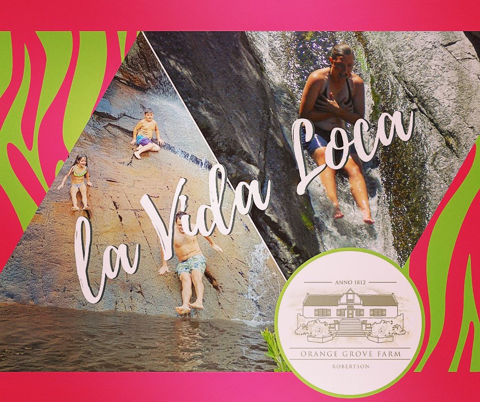 Make a Splash at Orange Grove Farm #lavidaloca #summer #fun #splash #rockpool #waterfall #cooloff #staycool #5star #luxury💎 #accommodation