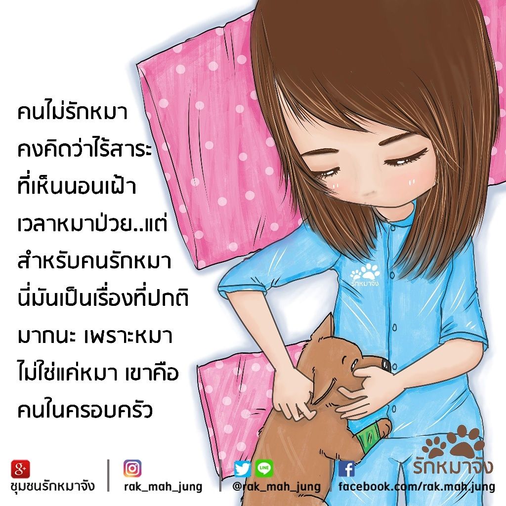 rakmahjung's tweet photo. ถ้าป่วยแทนได้ ก็จะป่วย..
#รักหมาจัง https://t.co/GirA3NBtD9
