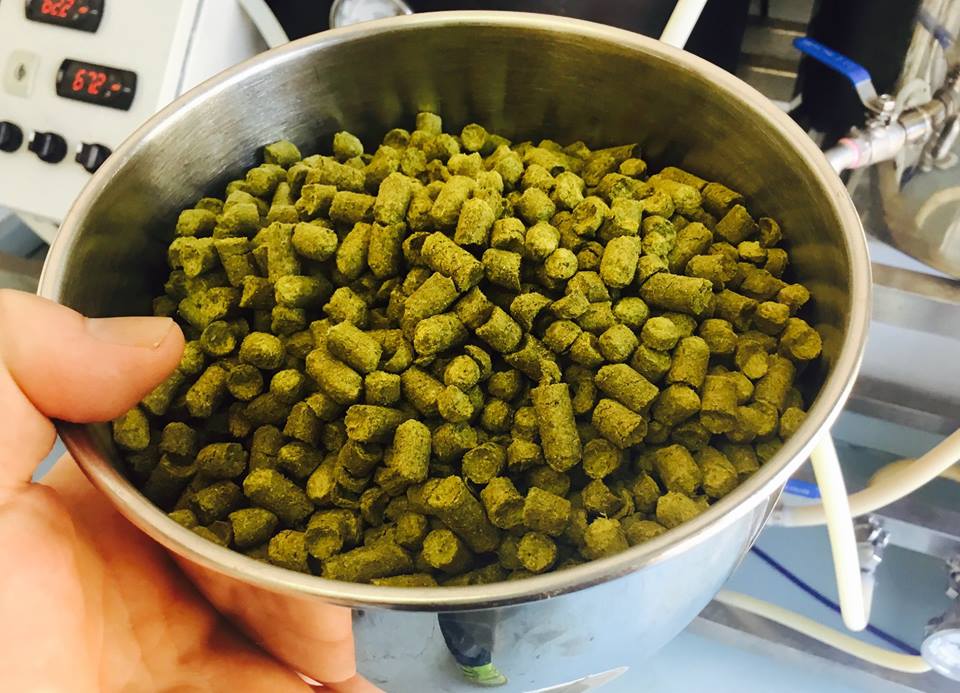 Nothing like the endorphin rush opening a fresh bag of Citra!
