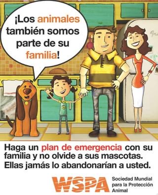 shirleybr86's tweet photo. En caso de Emergencia Climatológica, no olvides a tus #mascotas, ellos no te abandonarían a ti #HuracánWilla https://t.co/M2aEmaJ2Ri