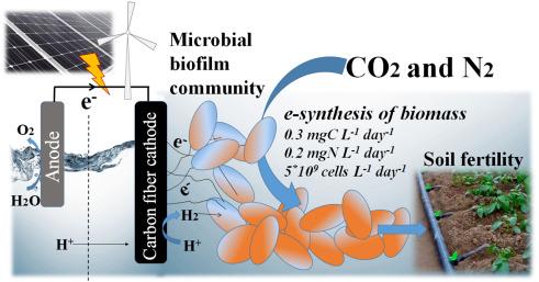 LauRago_dr's tweet photo. Discover the simultaneous Autotrophic Nitrogen and Carbon fixation in bioelectrochemical systems. 
Please, check our new article through the free access link: https://t.co/cLDptewm5m @schievanoa1 https://t.co/Tbh4BYwkMg