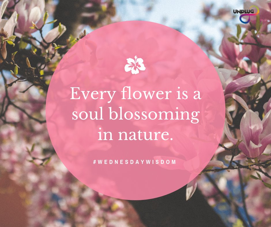 UnplugInfinity's tweet photo. "Every flower is a soul blossoming in nature"
#WednesdayWisdom #wisdom #unpluginfinity https://t.co/rihdRhaYiM