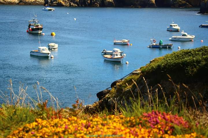GwenoleK's tweet photo. #Ouessant #Finistere #MagnifiqueBretagne #Photo #Canon #Maritime #MagnifiqueFrance https://t.co/xpSsBvcDbF