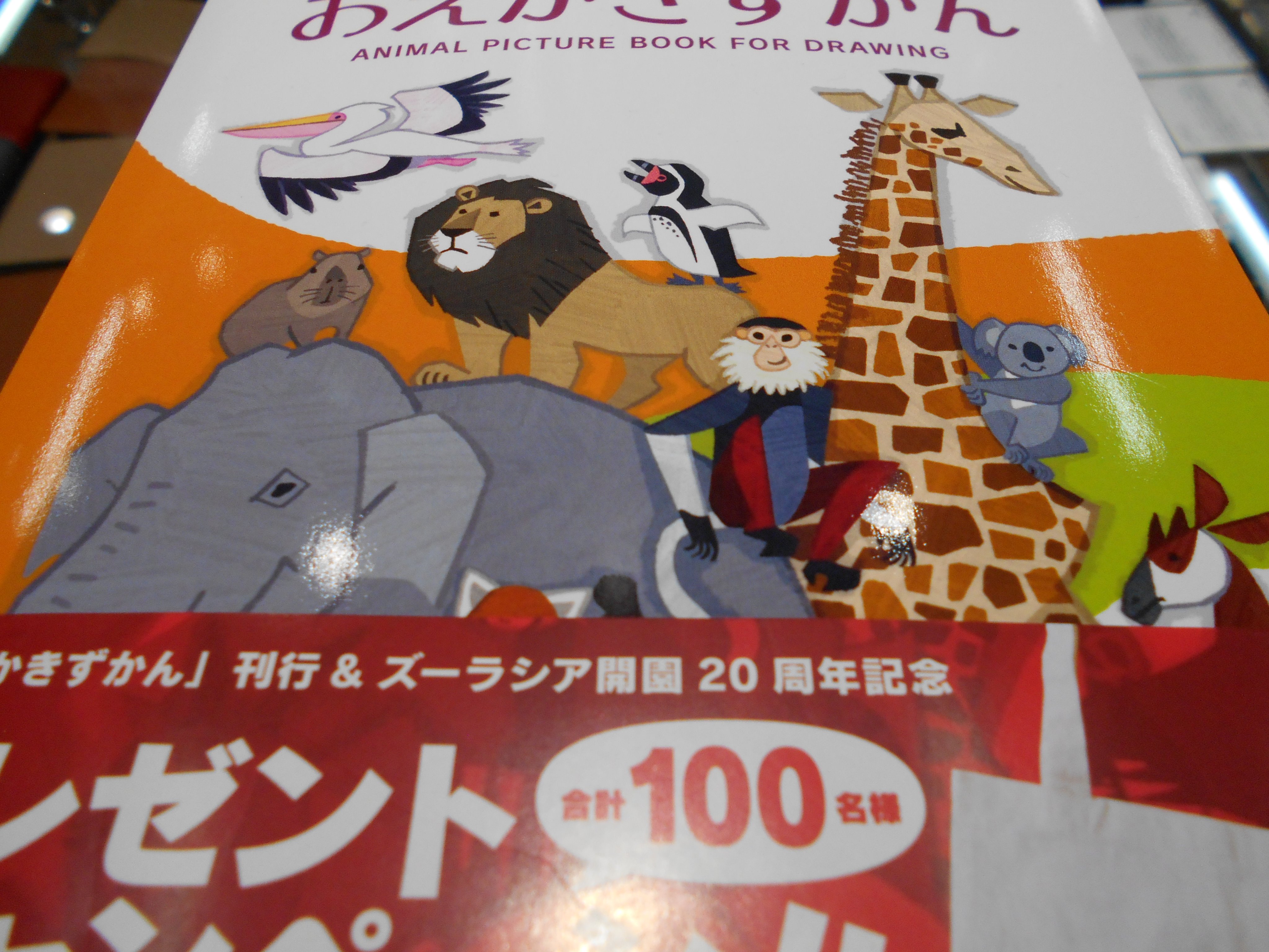 有隣堂ららぽーと海老名店 コクヨさんの絵本シリーズから おえかきずかん 発売されました かわいい動物 おなじみのライオンや キリンももちろん簡単にイラストが描けるように教えてくれます 描いたら透明クレヨンで塗ってね コクヨ おえかきず