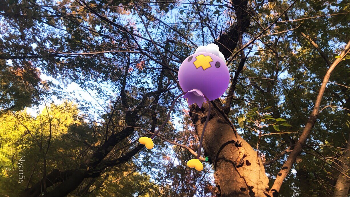 ニャンゴス フワンテが木に引っかかってた Pokemongoarplus シンオウポケモンar写真展 T Co 0naisrrqbt Twitter