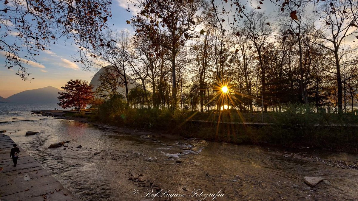 raflugano's tweet photo. #autunno #lugano #luganese #parcociani #fiumecassarate #cassarate
No dico! ma che posto è?non per la foto di sicuro ma la fortuna di esserci
© 2017 https://t.co/fJiI3xKYFs