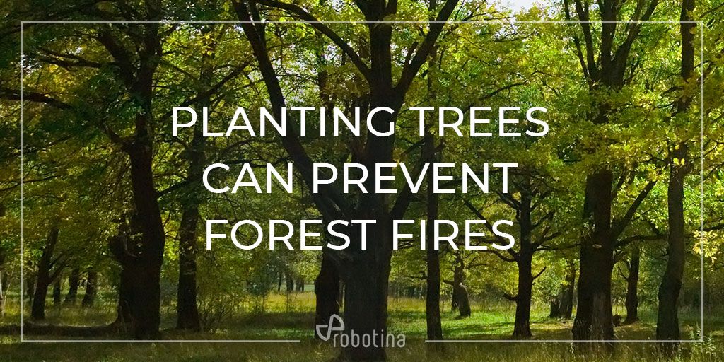 Well-placed #landscapetrees can #save up to 25% of a homes's #energy needs. Reducing hte need for energy is one way to #fight increasing #forestfires brought on by #climatechange 
Source: US Department of Energy  #my #robotina #ROX