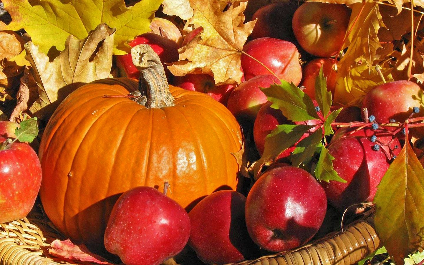 Открытка днем, дары природы открытки