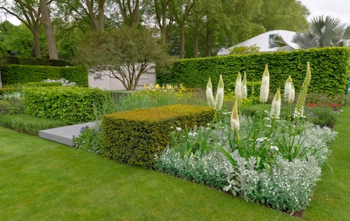 ShootGardening's tweet photo. #Allium nigrum https://t.co/TgCHThXFU4 forms globular heads of white, star-shaped flowers on upright stems. #Plants seen in #RHSChlesea 2015 Marcus Barnett Studio #garden https://t.co/aPx2Xlr84E https://t.co/fIAm7YsqUs